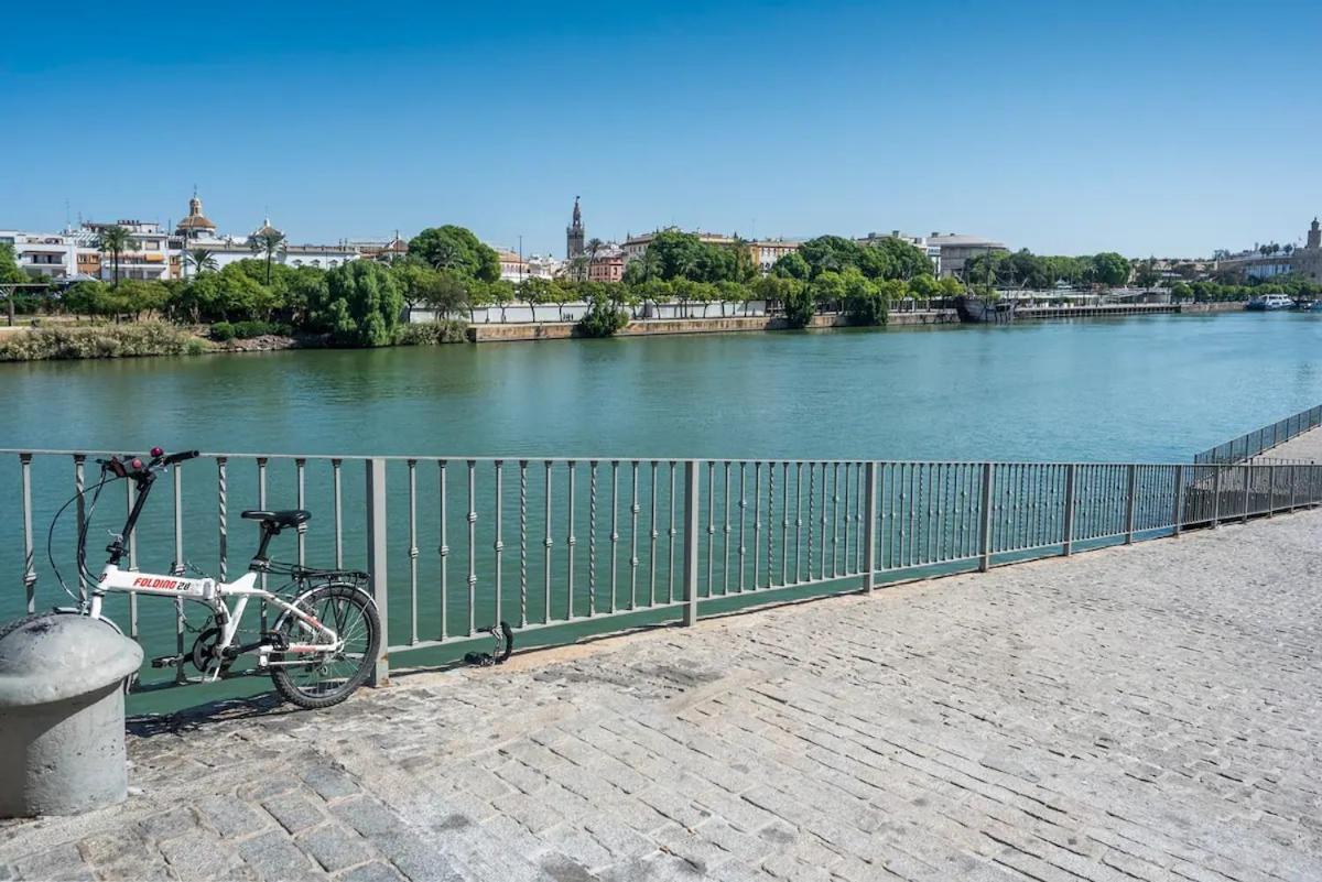 Alohamundi Allure Seville